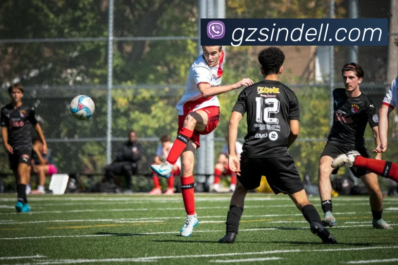 开云APP 高清赛事图